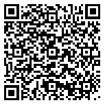 QR code 38197800600000