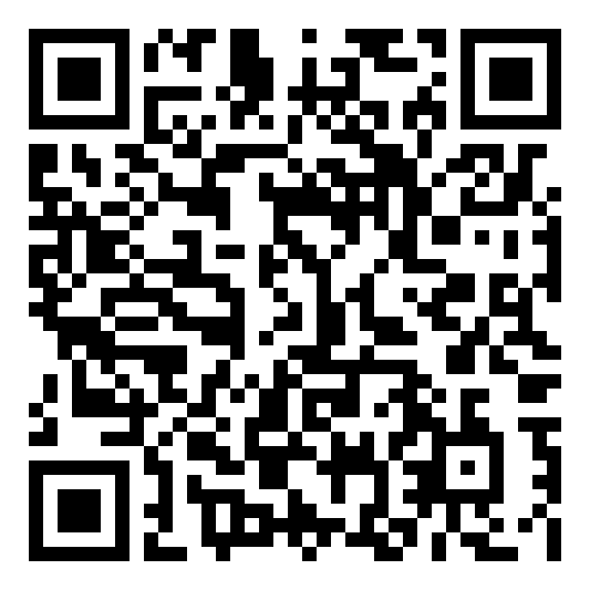 QR code 52029040300000