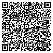 QR code 89133195900000