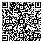 QR code 38542300900000