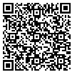 QR code 49281498000000
