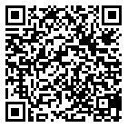 QR code 38132401000000