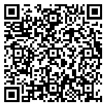 QR code 38408317800000