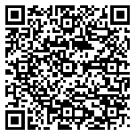 QR code 29038304500000