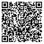 QR code 38199165600000