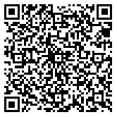 QR code 12133838900000