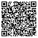 QR code 38139135300000