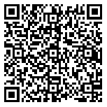 QR code 95028961100000