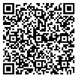 QR code 38119162500000