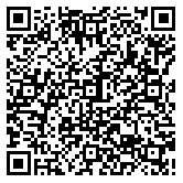 QR code 38415738500000