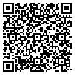 QR code 38339503600000
