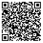 QR code 89153175300000