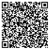 QR code 63065955300000
