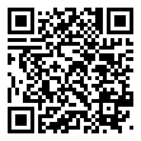 QR code 38381289900000