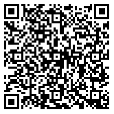 QR code 10029088000000