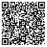 QR code 52808000700000