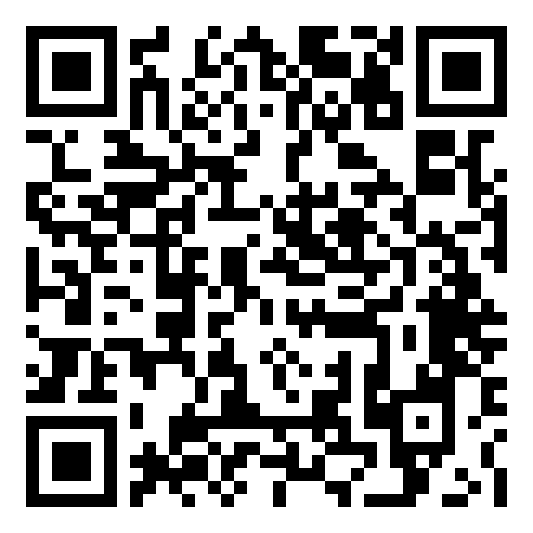 QR code 29082919100000