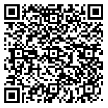 QR code 30131950400000