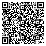 QR code 29113381800000