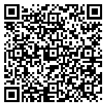 QR code 38378721000000