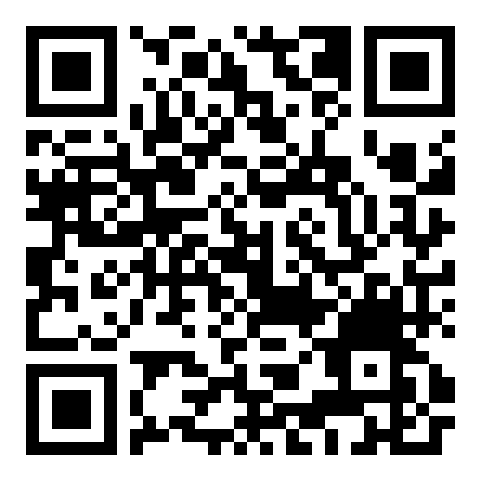 QR code 38138055600000