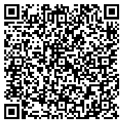 QR code 38335293700000