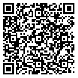 QR code 38334728000000