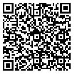 QR code 38919853200000