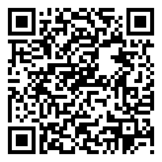 QR code 10029599500000