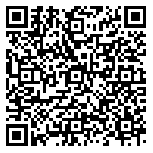 QR code 38895371300000