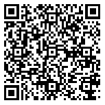 QR code 38211600500000