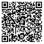 QR code 54381252000000
