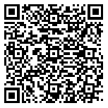 QR code 38246095500000