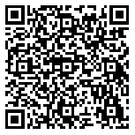 QR code 38218504100000