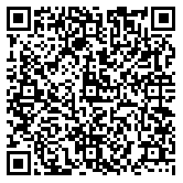 QR code 29136385000000