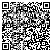 QR code 29100795300000