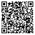 QR code 38078006400000