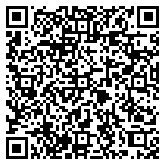 QR code 38294500300000