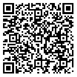 QR code 38485429100000
