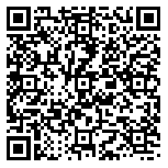 QR code 38128948800000