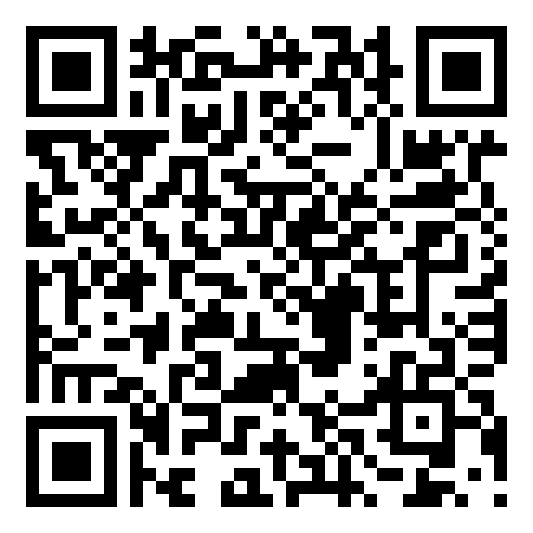 Assets QR code QR code 30170985000000