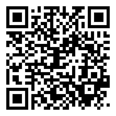 QR code 38282484800000