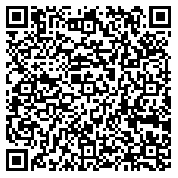 QR code 38811366300000