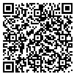 QR code 54393273700000