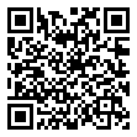 QR code 52805110600000