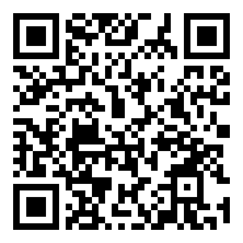 QR code 52138495100000