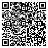 QR code 38119572900000