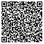 QR code 38294031300000