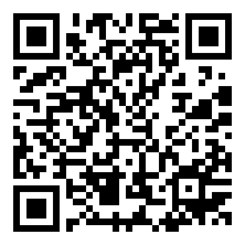 QR code 38810949500000