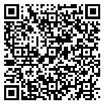 QR code 38168089600000